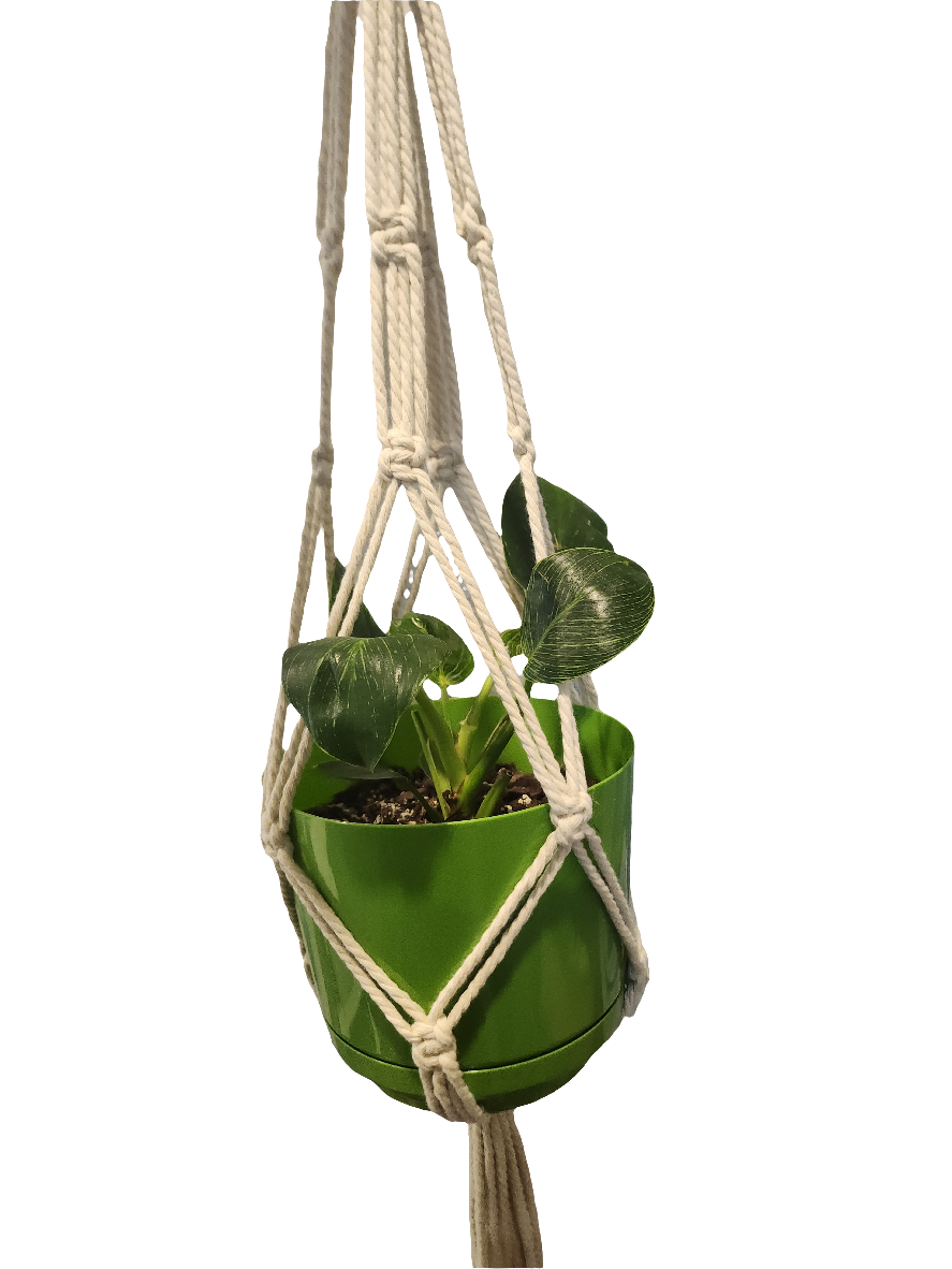 Macrame Hanging Plant Holder Set of Two Bone White 960