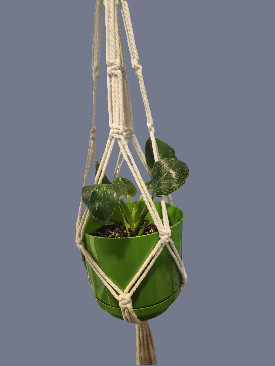 Macrame Hanging Plant Holder Set of Two Bone White 960